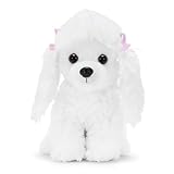 Los Mejores Caniches en Venta: Análisis Completo y Comparativa de Criadores y Productos Esenciales para tu Mascota