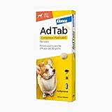 Los Mejores Antipulgas para Perros: Análisis y Comparativa de Productos Efectivos