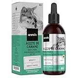 Los Mejores Aceites de Cáñamo para Perros: Análisis y Comparativa de Productos Esenciales para el Bienestar de tu Mascota