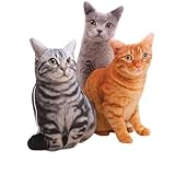Los Mejores Cojines en Forma de Gato: Análisis y Comparativa de Estilo y Comodidad para tu Mascota