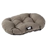 Los Mejores Cojines para Gatos: Análisis y Comparativa de Opciones Confortables para tu Mascota