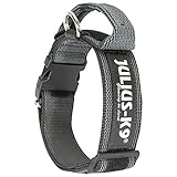Los Mejores Collares Anchos para Perros: Análisis y Comparativa de Opciones Seguras y Cómodas