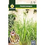 Citronela para Mascotas: Análisis y Comparativa de los Mejores Productos para Proteger a Tu Peludo