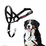 Flex Collar: Análisis y Comparativa de los Mejores Collares Flexibles para tu Mascota
