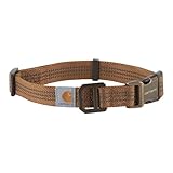Los Mejores Collares para Perros: Análisis y Comparativa de Opciones para Cada Necesidad