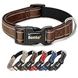 Los Mejores Collares para Perros: Análisis y Comparativa de Opciones para Cada Necesidad
