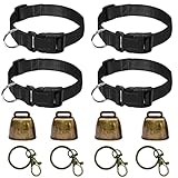 Los Mejores Collares para Caballos: Análisis y Comparativa de Productos Esenciales para el Cuidado Equino