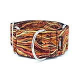Los Mejores Collares para Galgos: Análisis y Comparativa de Opciones para el Confort y Estilo de Tu Mascota