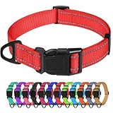 Los Mejores Collares para Perros Pequeños: Análisis y Comparativa de Opciones Seguras y Estilosas