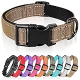 Los Mejores Collares para Perros: Análisis y Comparativa de Opciones para el Bienestar de tu Mascota