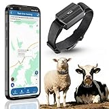 Mejores GPS para Ovejas: Análisis y Comparativa de los Productos Más Efectivos para el Cuidado de tu Ganado