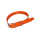 Los Mejores Collares para Perros de Caza: Análisis y Comparativa de Opciones para Potenciar la Seguridad y Rendimiento de Tu Canino