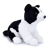 Guía Definitiva para Comprar un Cachorro de Border Collie: Análisis de los Mejores Productos y Accesorios Esenciales