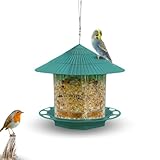 Los Mejores Comederos para Pájaros Silvestres: Análisis y Comparativa de Productos para Atraer la Fauna en Tu Jardín