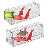 Guía Completa para Comprar Ratones Vivos: Comparativa de los Mejores Proveedores y Consejos para el Cuidado de tus Mascotas