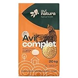 Guía Completa para Comprar Gallinas Baratas: Comparativa de los Mejores Proveedores y Consejos para Cuidarlas