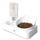 Los Mejores Comederos y Bebederos para Gatos: Análisis y Comparativa de Productos Esenciales para tu Mascota