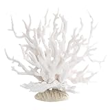 Todo lo que necesitas saber sobre el Coral Platy: Análisis y Comparativa de las Mejores Opciones para tu Acuario
