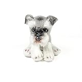 Guía de Compra: Los Mejores Productos para Tu Schnauzer Mini