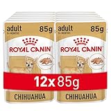 Análisis y Comparativa: La Mejor Comida para tu Chihuahua en 2023
