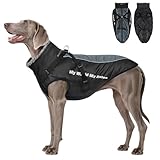 Los Mejores Trajes para Perros Grandes: Análisis y Comparativa de Estilos y Funcionalidades