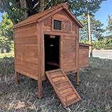 Los Mejores Gallineros en Venta: Análisis y Comparativa para el Bienestar de tus Gallinas