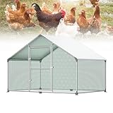 Los Mejores Gallineros Exteriores: Análisis y Comparativa de Opciones para unas Aves Felices y Saludables