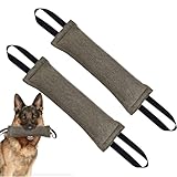 Los Mejores Mordedores para Perros Grandes: Análisis y Comparativa de Productos Imperdibles