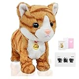 Los Mejores Gatos de Juguete con Movimiento: Análisis y Comparativa de Productos para Mantener a Tu Mascota Entretenida