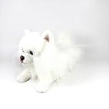 Guía Definitiva: ¿Dónde Comprar el Mejor Pomerania Toy? Análisis y Comparativa de Productos para tu Mascota
