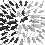 Los Mejores Juguetes para Ratas: Análisis y Comparativa de Productos Imprescindibles para el Bienestar de tu Mascota
