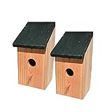 Los Mejores Nidos para Pájaros: Análisis y Comparativa de Productos Imprescindibles para el Cuidado de tus Mascotas Aladas
