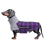 Los Mejores Outfits para Tu Teckel: Análisis y Comparativa de Ropa para Perros