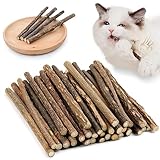 Los Mejores Palitos de Catnip: Análisis y Comparativa para el Placer de Tu Gato
