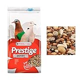 Los Mejores Alimentos para Palomas: Análisis y Comparativa de Productos para Asegurar su Salud y Bienestar