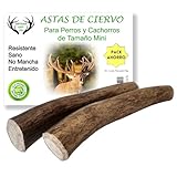 Los Mejores Palos para Perros: Análisis y Comparativa de Productos Imprescindibles para el Juego de tu Mascota