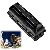 Top 5 Peces Limpia Cristales Pequeños: Comparativa de los Mejores Compañeros Acuáticos para tu Acuario
