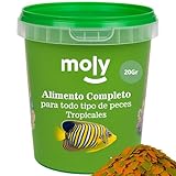 Los Mejores Peces de Agua Caliente: Guía de Compra y Comparativa de Especies para Tu Acuario