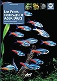 Los Mejores Peces Tropicales para Tu Acuario de Agua Dulce: Análisis y Comparativa de Especies y Cuidados