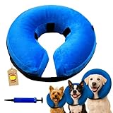 Collar Isabelino Hinchable: Análisis y Comparativa de los Mejores Modelos para la Comodidad de tu Mascota