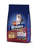 Los Mejores Piensos Baratos para Gatos: Análisis y Comparativa de Productos Económicos que Cuidan la Salud de tu Mascota
