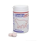 Los Mejores Piensos con Condroprotectores para Mantener la Salud Articular de tu Mascota: Análisis y Comparativa