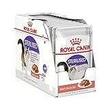 Los Mejores Piensos Sin Cereales para Gatos Esterilizados: Análisis y Comparativa de Opciones Saludables