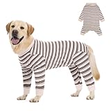 Comparativa de los Mejores Pijamas para Perros: Estilo, Comodidad y Protección para tu Mascota