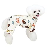 Los Mejores Pijamas para Perros: Análisis y Comparativa de Estilos, Comodidad y Precio