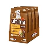 Los Mejores Productos del 2023 para Perros Pequeños: Análisis y Comparativa de las Últimas Tendencias