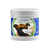 Los Mejores Productos para Cachorros Bichón Maltés: Análisis y Comparativa de Accesorios Esenciales