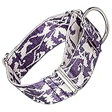 Los Mejores Productos para Cachorros Galgos: Análisis y Comparativa de Accesorios Esenciales