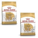 Descubre el Mejor Pienso para Chihuahuas: Análisis y Comparativa de las Mejores Opciones para tu Pequeño Compañero
