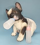 Los Mejores Productos para Criadores de Bulldog Francés: Análisis y Comparativa Esencial